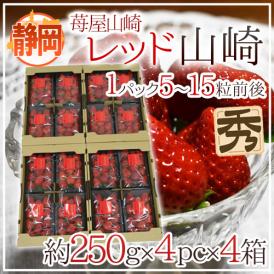 静岡県 ”苺屋山崎 レッド山崎” 秀品 4pc（1pcあたり5～15粒前後 約250g）×《4箱》 いちご【予約 1月下旬以降】 送料無料