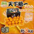 静岡 とぴあみかん ”天下糖一” 特選品 約3kg 大きさおまかせ 最低糖度13度保証【予約 10月末以降】 送料無料