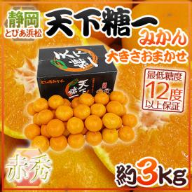 静岡 とぴあみかん ”天下糖一” 赤秀品 約3kg 大きさおまかせ 最低糖度12度保証【予約 10月末以降】 送料無料