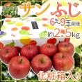 青森産 ”サンふじりんご” 6～9玉前後 約2.5kg 化粧箱 りんご【予約 12月以降】 送料無料