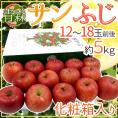 青森産 ”サンふじりんご” 12～18玉前後 約5kg 化粧箱 りんご【予約 12月以降】 送料無料