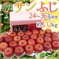 青森産 ”サンふじりんご” 24～36玉前後 約10kg りんご【予約 12月以降】 送料無料