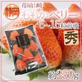 静岡県 ”苺屋山崎 ももかベリー” 秀品 5～15粒前後 約250g いちご【予約 1月下旬以降】 送料無料