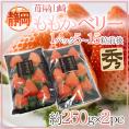 静岡県 ”苺屋山崎 ももかベリー” 秀品 2pc（1pcあたり5～15粒前後 約250g） いちご【予約 1月下旬以降】 送料無料