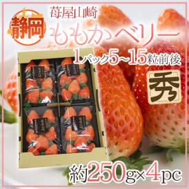 静岡県 ”苺屋山崎 ももかベリー” 秀品 4pc（1pcあたり5～15粒前後 約250g） いちご【予約 1月下旬以降】 送料無料