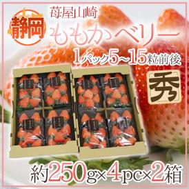 静岡県 ”苺屋山崎 ももかベリー” 秀品 4pc（1pcあたり5～15粒前後 約250g）×《2箱》 いちご【予約 1月下旬以降】 送料無料