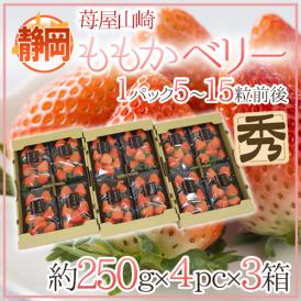 静岡県 ”苺屋山崎 ももかベリー” 秀品 4pc（1pcあたり5～15粒前後 約250g）×《3箱》 いちご【予約 1月下旬以降】 送料無料