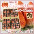 静岡県 ”苺屋山崎 ももかベリー” 秀品 4pc(1pcあたり5~15粒前後 約250g)×《4箱》 いちご【予約 1月下旬以降】 送料無料
