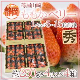 静岡県 ”苺屋山崎 ももかベリー” 秀品 4pc（1pcあたり5～15粒前後 約250g）×《4箱》 いちご【予約 1月下旬以降】 送料無料