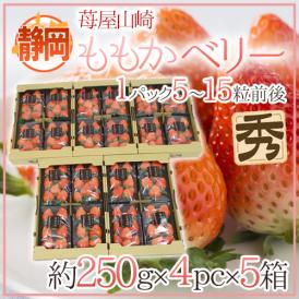 静岡県 ”苺屋山崎 ももかベリー” 秀品 4pc（1pcあたり5～15粒前後 約250g）×《5箱》 いちご【予約 1月下旬以降】 送料無料