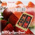 静岡県 ”ももかベリー+レッド山崎 食べ比べセット” 2pc×2セット いちご【予約 2月以降】 送料無料