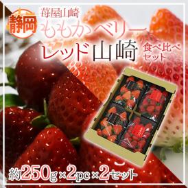 静岡県 ”ももかベリー＋レッド山崎 食べ比べセット” 2pc×2セット いちご【予約 2月以降】 送料無料