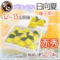 宮崎県産 ”プリンセス 日向夏” 赤秀品 12～13玉前後 風袋込約2.5kg 化粧箱 種子無し【予約 12月下旬以降】 送料無料