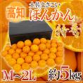 高知県産 ”土佐よさこいポンカン” 特秀 M～2L 約5kg 糖度12度以上 ぽんかん【予約 1月中旬以降】 送料無料