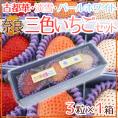 奈良県産 ”三色いちごセット” 1箱（1箱あたり3粒入り）古都華・淡雪・パールホワイト 化粧箱【予約 2月以降】