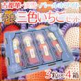 奈良県産 ”三色いちごセット” 4箱(1箱あたり3粒入り)古都華・淡雪・パールホワイト 化粧箱【予約 2月以降】 送料無料