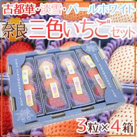 奈良県産 ”三色いちごセット” 4箱（1箱あたり3粒入り）古都華・淡雪・パールホワイト 化粧箱【予約 2月以降】 送料無料