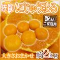”佐賀産 にじゅうまる” 約2kg 大きさおまかせ ご家庭用【予約 3月以降】 送料無料