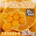 ”佐賀産 にじゅうまる” 約3kg 大きさおまかせ ご家庭用【予約 3月以降】 送料無料