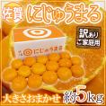 佐賀産 ”にじゅうまる” 約5kg 大きさおまかせ ご家庭用【予約 3月以降】 送料無料