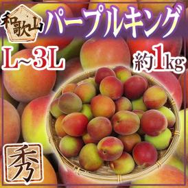 ”和歌山産 JA紀南 パープルキング” 秀品 L～3L 約1kg 大梅 南高梅【予約 5月末以降】 送料無料