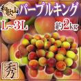 ”和歌山産 JA紀南 パープルキング” 秀品 L～3L 約2kg 大梅 南高梅【予約 5月末以降】 送料無料