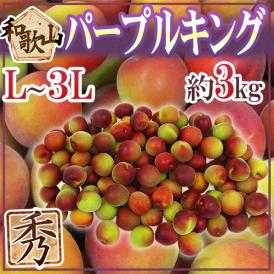 ”和歌山産 JA紀南 パープルキング” 秀品 L～3L 約3kg 大梅 南高梅【予約 5月末以降】 送料無料