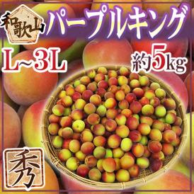 ”和歌山産 JA紀南 パープルキング” 秀品 L～3L 約5kg 大梅 南高梅【予約 5月末以降】 送料無料