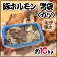 国産 ”豚胃袋（ガツ）ボイル” 約10kg 未カット