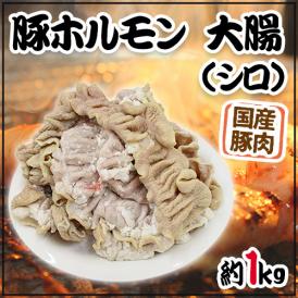 国産 ”豚大腸（シロ）ボイル” 約1kg 未カット