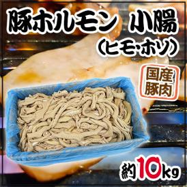 国産 ”豚小腸（ヒモ・ホソ）ボイル” 約10kg 未カット