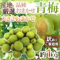 ”青梅” 訳あり 約1kg 産地厳選 品種おまかせ 大きさおまかせ【予約 5月末以降】 送料無料