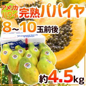 アメリカ ハワイ州 ”完熟パパイヤ” 8～10玉前後 約4.5kg フルーツパパイア【予約 入荷次第発送】 送料無料