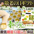 敬老の日ギフト ”鳥取産 新甘泉梨” 秀品 5～8玉前後 約2.5kg 化粧箱 糖度13度以上 【予約 9月7～15日お届け予定】 送料無料