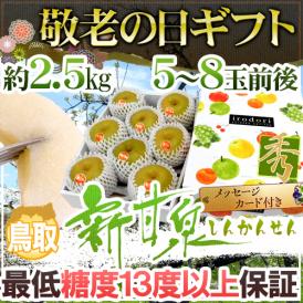 敬老の日ギフト ”鳥取産 新甘泉梨” 秀品 5～8玉前後 約2.5kg 化粧箱 糖度13度以上 【予約 9月7～15日お届け予定】 送料無料