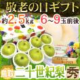 敬老の日ギフト ”鳥取産 二十世紀梨” 秀品 6～9玉前後 約2.5kg 化粧箱 【予約 9月7～15日お届け予定】 送料無料