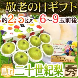 敬老の日ギフト ”鳥取産 二十世紀梨” 秀品 6～9玉前後 約2.5kg 化粧箱 【予約 9月7～15日お届け予定】 送料無料