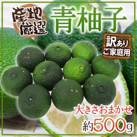 ”青柚子” 訳あり 約500g 大きさおまかせ 産地厳選 青ゆず【予約 5月以降】 送料無料