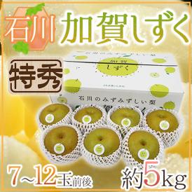 石川県 ”加賀しずく” 特秀品 大玉 7～12玉前後 約5kg 糖度12度以上 和梨【予約 9月以降】 送料無料