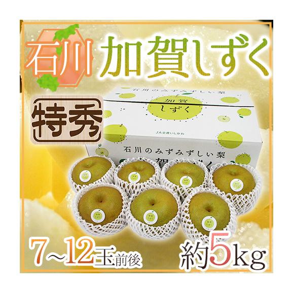 石川県 ”加賀しずく” 特秀品 大玉 7~12玉前後 約5kg 糖度12度以上 和梨【予約 9月以降】 送料無料01