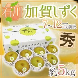 石川県 ”加賀しずく” 秀品 大玉 7～12玉前後 約5kg 糖度12度以上 和梨【予約 9月以降】 送料無料