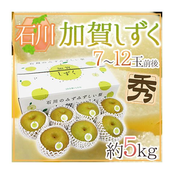 石川県 ”加賀しずく” 秀品 大玉 7~12玉前後 約5kg 糖度12度以上 和梨【予約 9月以降】 送料無料01
