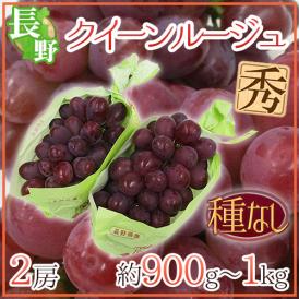 長野県 ”クイーンルージュ” 秀品 2房 約900g～1kg 赤ぶどう【予約 9月中旬以降】 送料無料