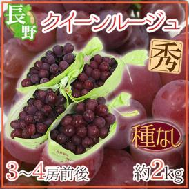 長野県 ”クイーンルージュ” 秀品 3～4房前後 約2kg 赤ぶどう【予約 9月中旬以降】 送料無料