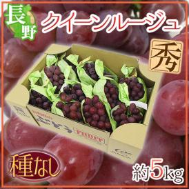 長野県 ”クイーンルージュ” 秀品 約5kg 赤ぶどう【予約 9月中旬以降】 送料無料