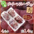 長野県 ”クイーンルージュ” 秀品 4pc 約1.4kg パック入り 赤ぶどう【予約 9月中旬以降】 送料無料