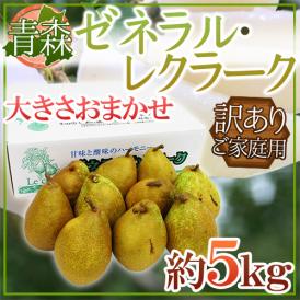 青森産 ”ゼネラル・レクラーク” 訳あり 約5kg 大きさおまかせ 洋梨【予約 11月以降】 送料無料
