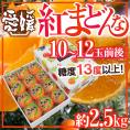 愛媛産 ”紅まどんな” 10~12玉前後 約2.5kg 化粧箱 最低糖度13度以上【予約 12月中旬以降】 送料無料