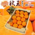 福岡県 ”秋王” 訳あり 大きさおまかせ 約5kg 秋王柿【予約 11月以降】 送料無料