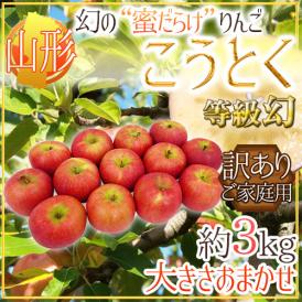 蜜だらけりんご ”山形産 こうとく（高徳）りんご” 等級幻 訳あり 約3kg 大きさおまかせ【予約 11月以降】 送料無料